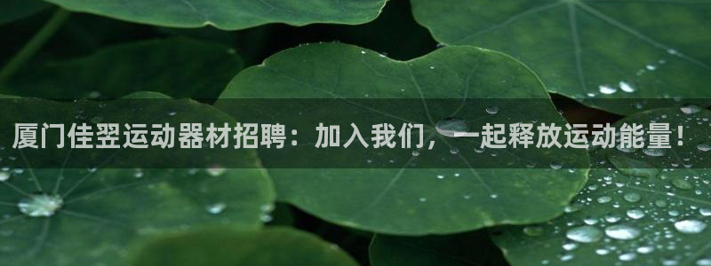 意昂体育3招商电话地址查询：厦门佳翌运动器材招聘：加