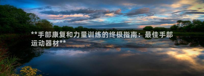 意昂3集团logo：**手部康复和力量训练的终极指南