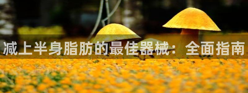 意昂体育3平台注册要钱吗安全吗：减上半身脂肪的最佳器