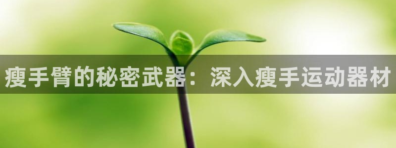 海南意昂体育3发展怎么样：瘦手臂的秘密武器：深入瘦手