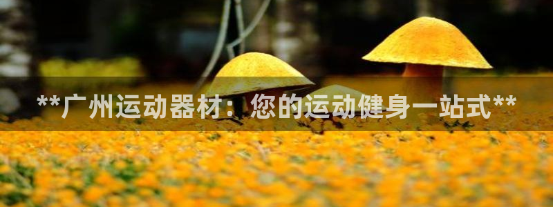 意昂体育3招商电话号码查询是多少：**广州运动器材：