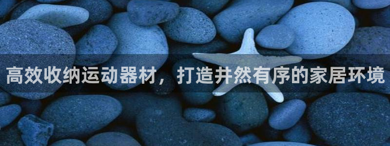 意昂3娱乐首页网站大全：高效收纳运动器材，打造井然有