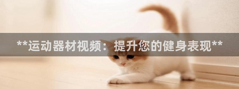 意昂3官方：**运动器材视频：提升您的健身表现**