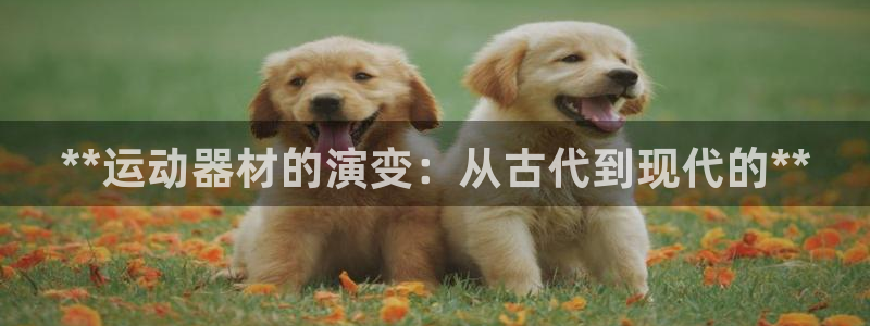 意昂3集团官网首页：**运动器材的演变：从古代到现代