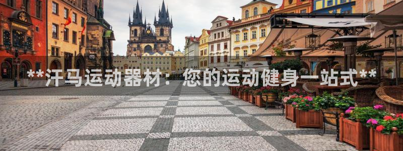 意昂体育3招商电话地址是多少：**汗马运动器材：您的