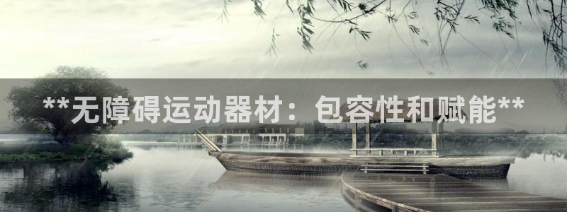 意昂平台体育：**无障碍运动器材：包容性和赋能**