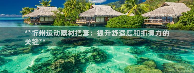 意昂3娱乐40996：**忻州运动器材把套：提升舒适