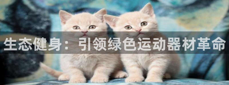 意昂体育3招商电话地址：生态健身：引领绿色运动器材革