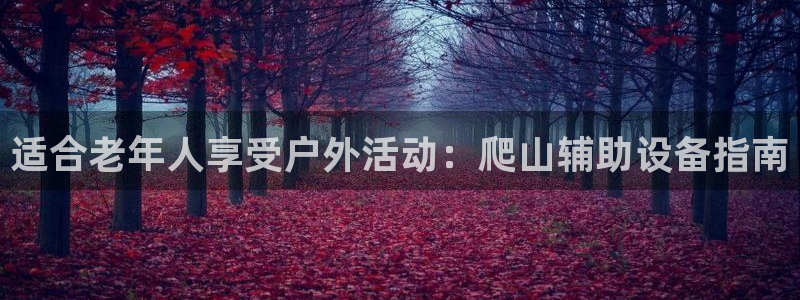 意昂体育3招商电话：适合老年人享受户外活动：爬山辅助