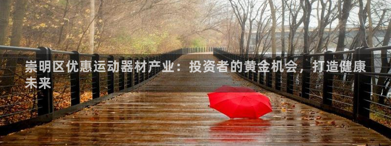意昂3娱乐首页官网下载：崇明区优惠运动器材产业：投资