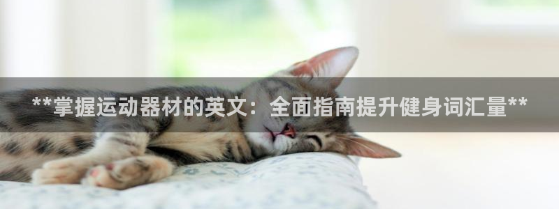 意昂体育3招商电话是多少号码：**掌握运动器材的英文