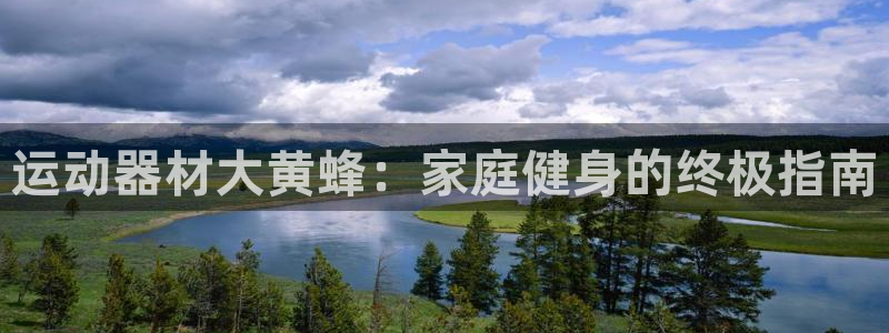 意昂3娱乐网站：运动器材大黄蜂：家庭健身的终极指南