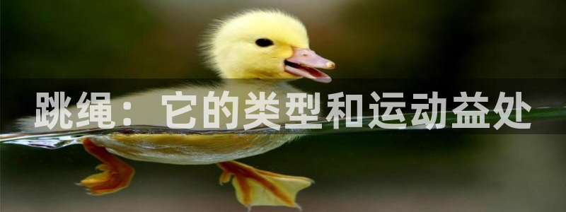 意昂3集团logo：跳绳：它的类型和运动益处