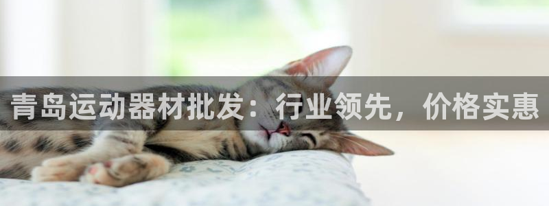 意昂体育3是干嘛的公司：青岛运动器材批发：行业领先，