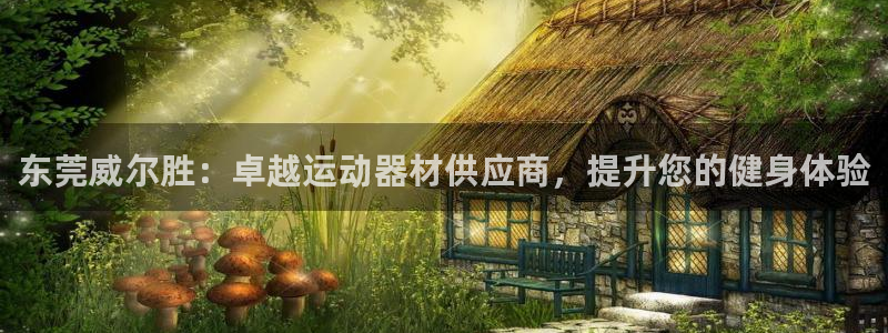 意昂集团官网：东莞威尔胜：卓越运动器材供应商，提升您