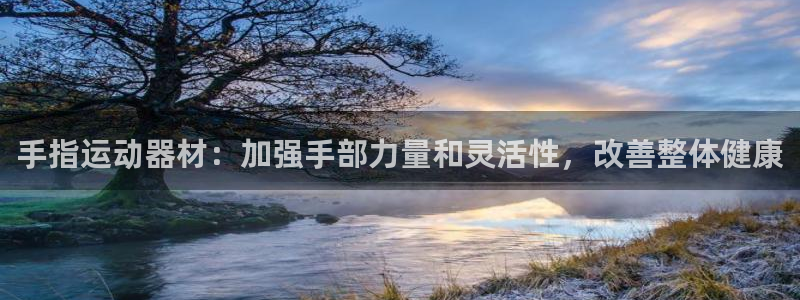 意昂体育3软件：手指运动器材：加强手部力量和灵活性，