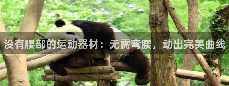 意昂3官网：没有腰部的运动器材：无需弯腰，动出完美曲