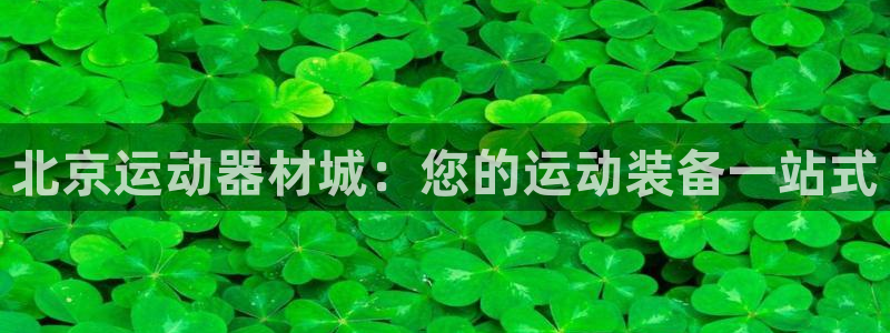意昂体育3软件：北京运动器材城：您的运动装备一站式