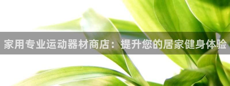 意昂3科技：家用专业运动器材商店：提升您的居家健身体