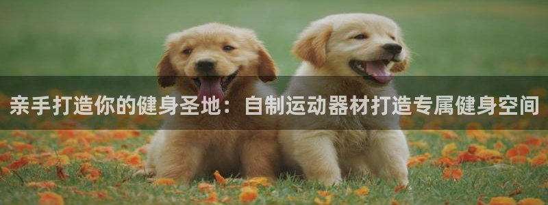 德国意昂3集团：亲手打造你的健身圣地：自制运动器材打