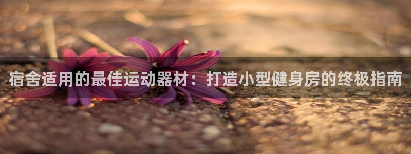 意昂3新能源：宿舍适用的最佳运动器材：打造小型健身房