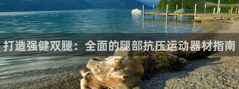 意昂体育3招商电话地址是多少：打造强健双腿：全面的腿