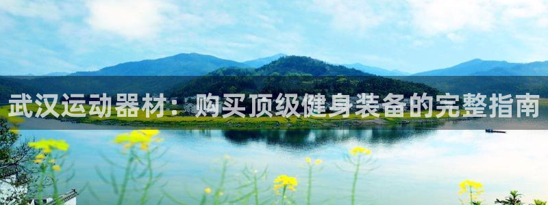 意昂3新能源：武汉运动器材：购买顶级健身装备的完整指