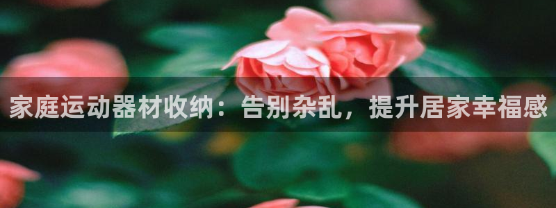 意昂3集团官网网址：家庭运动器材收纳：告别杂乱，提升