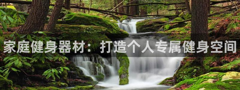 意昂3娱乐是那个系列的台子：家庭健身器材：打造个人专