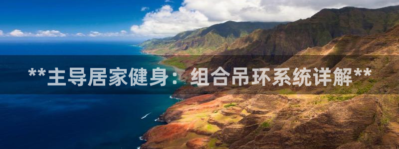 意昂3新能源：**主导居家健身：组合吊环系统详解**