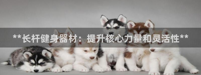 意昂3集团官网首页：**长杆健身器材：提升核心力量和