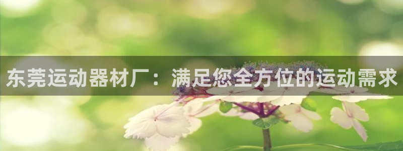 意昂3娱乐下载：东莞运动器材厂：满足您全方位的运动需