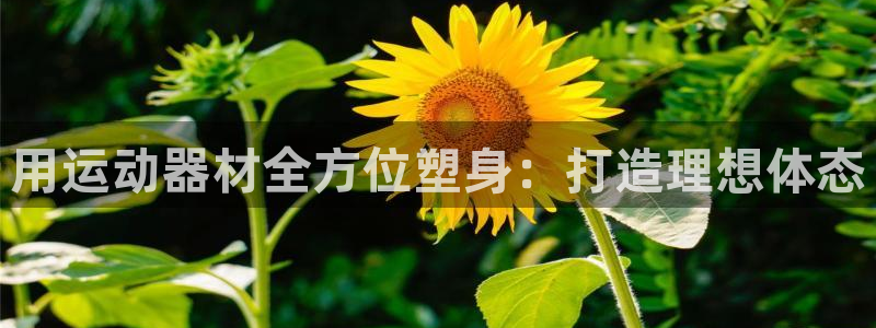 意昂集团官网：用运动器材全方位塑身：打造理想体态