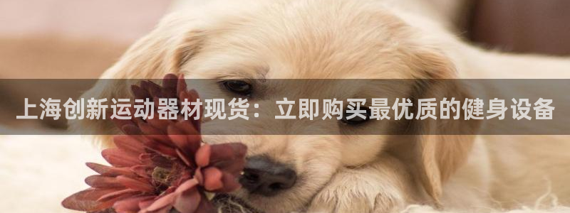意昂3娱乐网站：上海创新运动器材现货：立即购买最优质