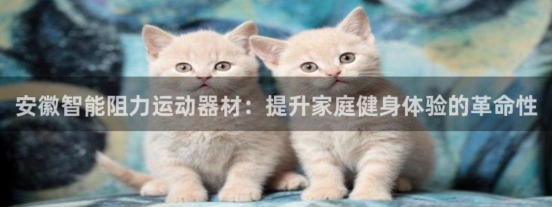 意昂体育3招商：安徽智能阻力运动器材：提升家庭健身体