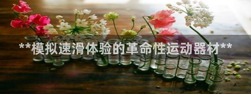 意昂3娱乐代理怎么样：**模拟速滑体验的革命性运动器