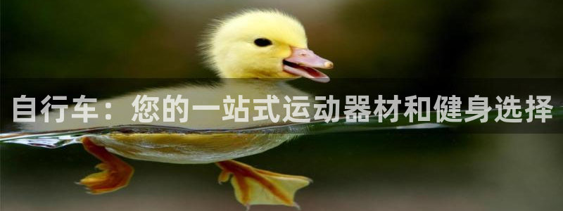 意昂体育3招商电话：自行车：您的一站式运动器材和健身