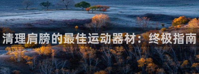 意昂3集团E.ON：清理肩膀的最佳运动器材：终极指南