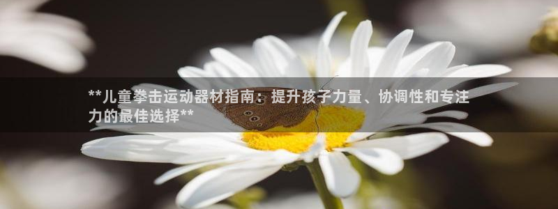 意昂体育3招商电话号码：**儿童拳击运动器材指南：提