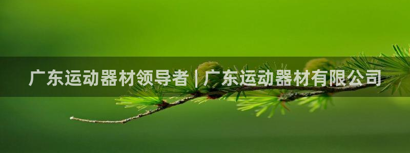 意昂3娱乐下载：广东运动器材领导者 | 广东运动器材