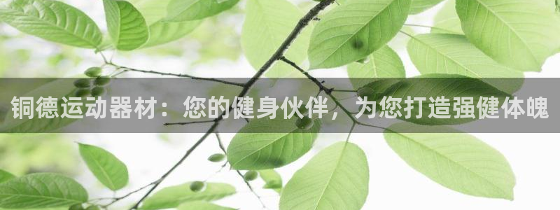 意昂体育3招商电话号码是多少号：铜德运动器材：您的健