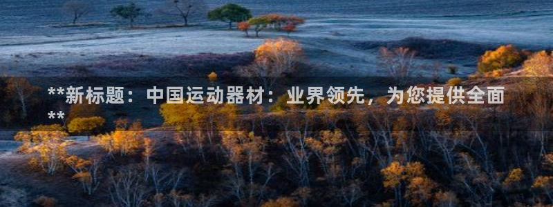 意昂3集团官网首页：**新标题：中国运动器材：业界领