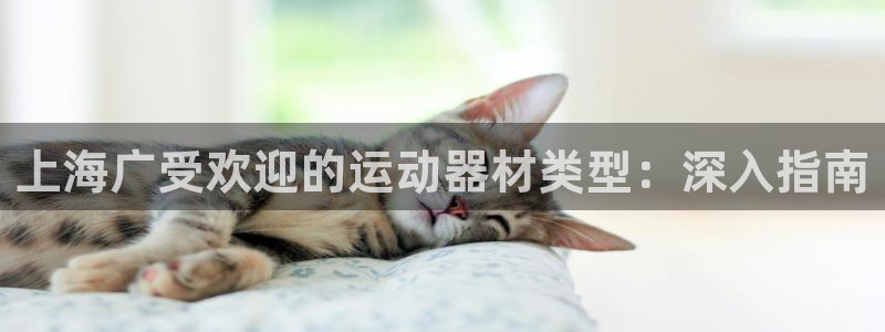 意昂3娱乐首页官网下载：上海广受欢迎的运动器材类型：