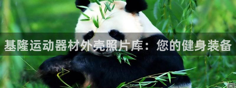 意昂体育3平台注册要钱吗安全吗：基隆运动器材外壳照片