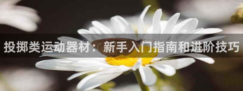 意昂体育3平台注册：投掷类运动器材：新手入门指南和进