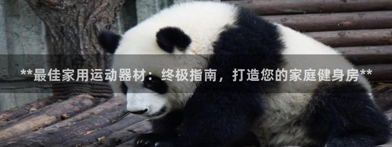 意昂3科技：**最佳家用运动器材：终极指南，打造您的