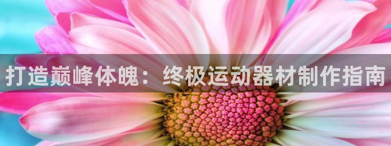 意昂体育3官方客服电话：打造巅峰体魄：终极运动器材制