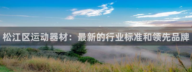 意昂体育3注册：松江区运动器材：最新的行业标准和领先
