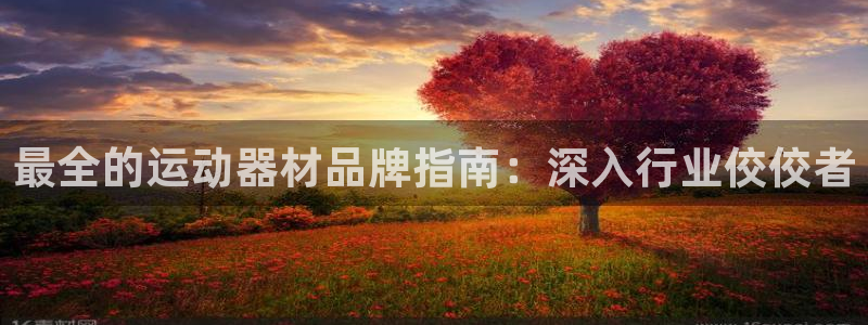 意昂3集团E.ON：最全的运动器材品牌指南：深入行业