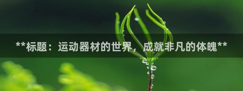 意昂3集团E.ON：**标题：运动器材的世界，成就非